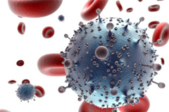 免疫細胞の写真